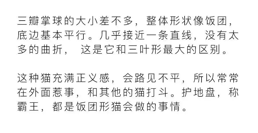 猫爪肉球形状判断猫咪性格,猫咪肉球颜色决定猫咪性格