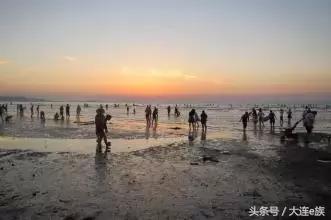 大连星海海滨浴场攻略,大连海滨浴场最佳时间