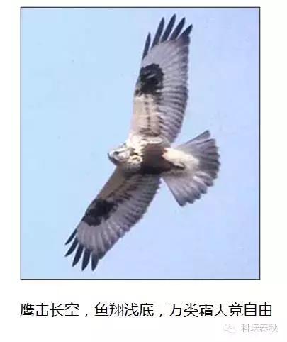 流体力学与深度学习,流体力学核心知识