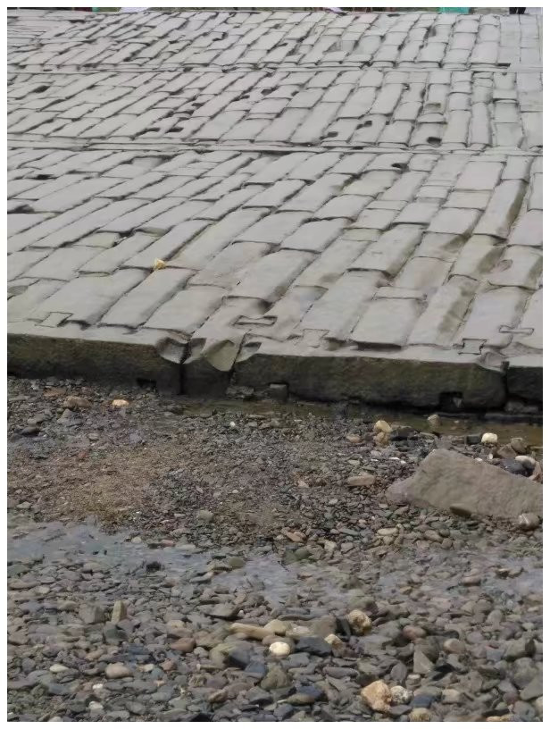 一家三口黄山旅游攻略,带家人去黄山