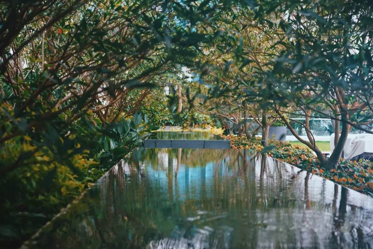 香港九龙洲际酒店,香港九龙贝尔特酒店