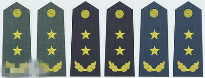 火箭军少校军衔肩章是什么样子,1955年陆军技术少校肩章图片