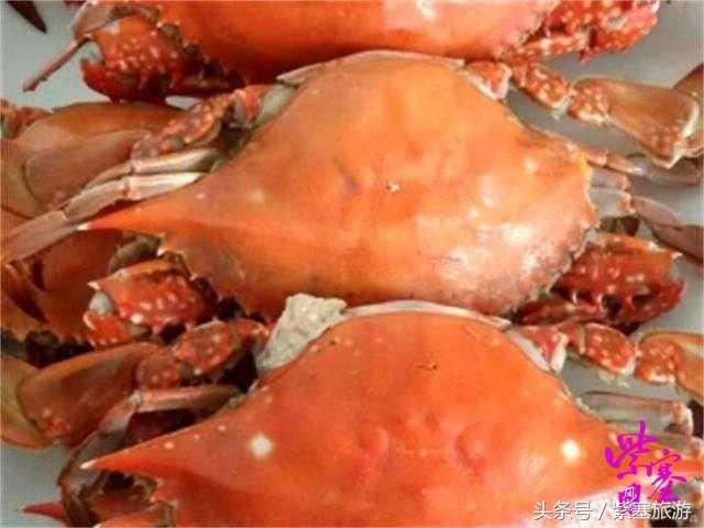 秦皇岛旅游住宿农家院,秦皇岛2日游攻略农家院