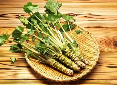 吃寿司时还可以吃什么,吃寿司需要沾鱼生露吗