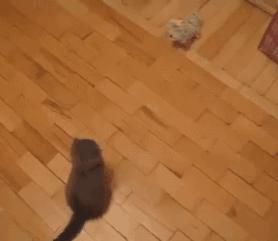 哥们，没练到家，就不要随意施展，丢人啊！