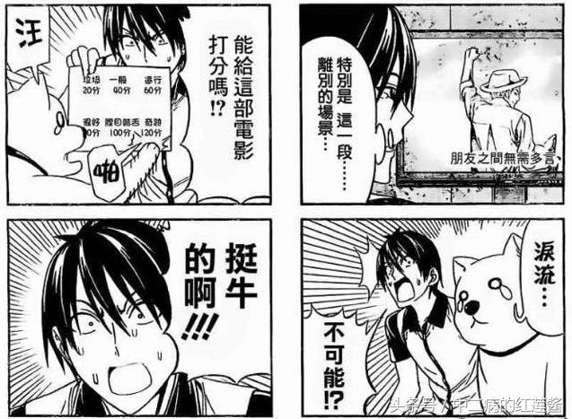 《笨女孩》被一个笨蛋带坏的小镇,唯独这条狗全面过人