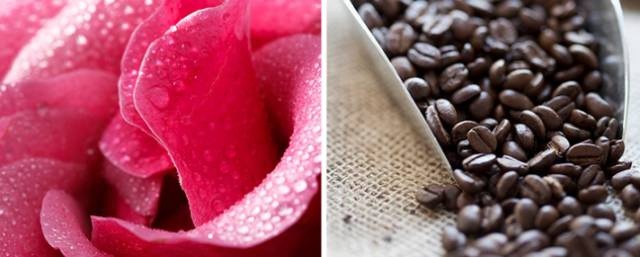 欧美好物,欧美国家的好物分享