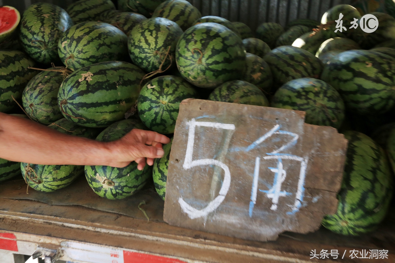 西瓜种植农药使用,西瓜常用杀虫剂配方