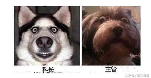 做会计是一种怎样的体验,做会计是做什么工作的