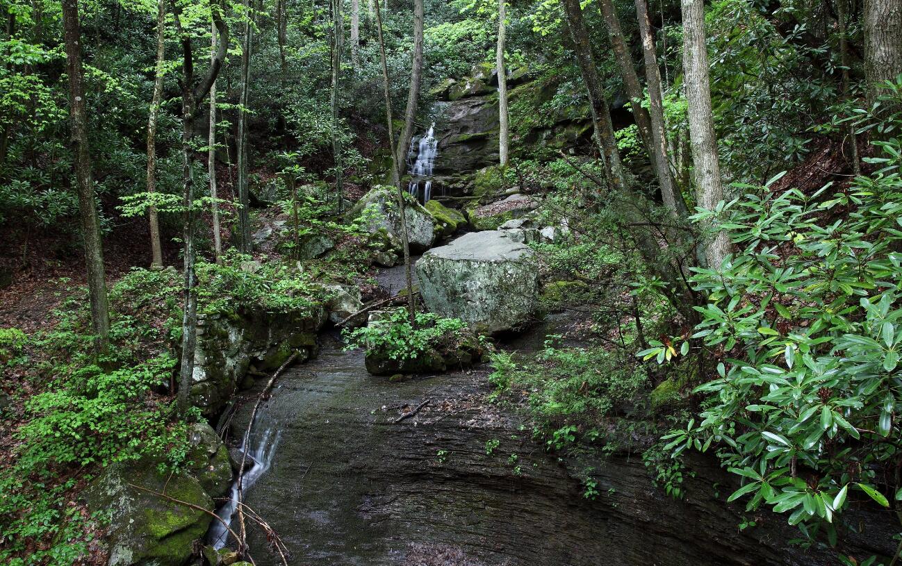 深山中迷路应该打哪个电话,深山老林无信号迷路怎么办