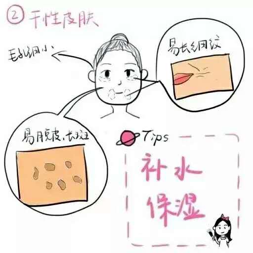 你了解自己的身体吗,你了解自己的皮肤是什么属性吗