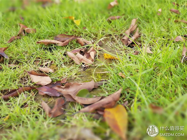 不一样的精彩绝伦,华为nova2plus测评