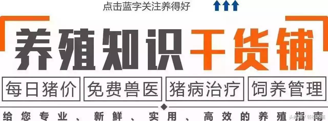 氯前列烯醇母猪的正确用法,氯前列烯醇注射哪个部位最好