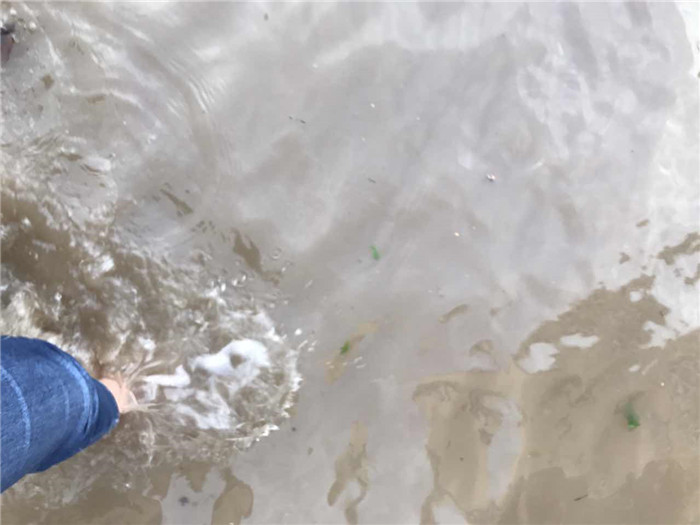 鏆撮洦琚煄韬奖瑙嗛,鏆撮洦琚煄杞﹁締琛屼汉瑙嗛