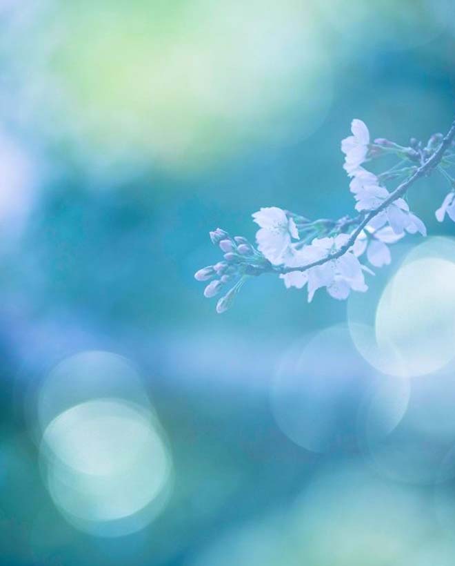 左岸时光，右岸回眸，在心里约定陪你到永远