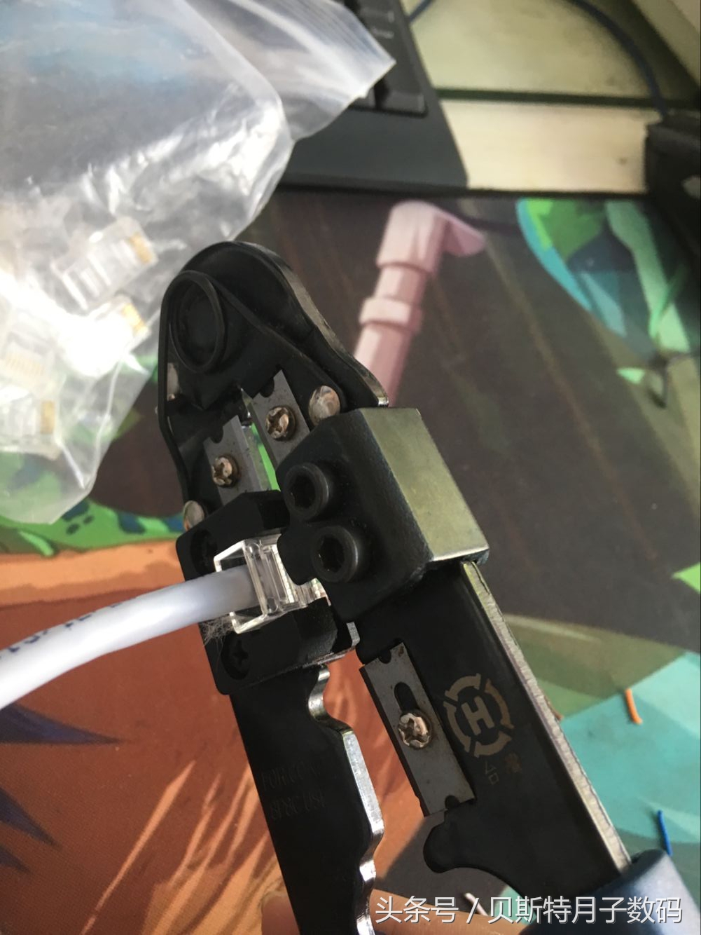 哎哟喂小编今天做网线