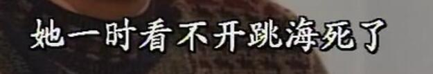 刑事侦缉档案3吕展眉杀爸爸,刑事侦缉档案第四部儿子被冤枉