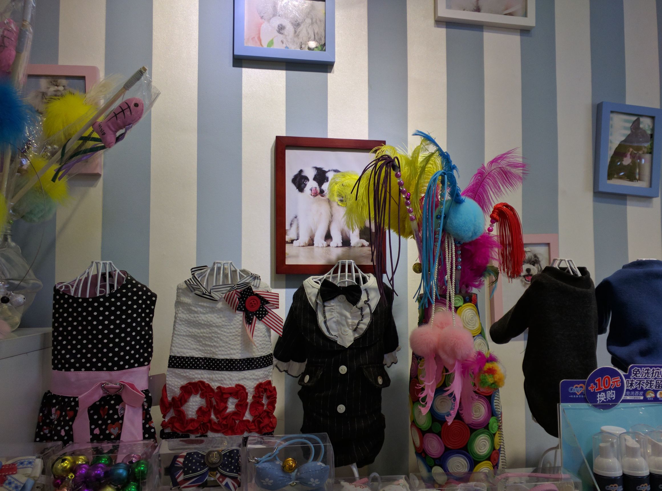 nexus6怎么升级到8.0,谷歌nexus6