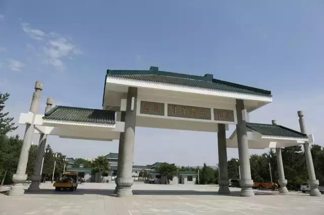 醉美西城｜“城在绿中人在景中”探访绿荫之下的回民区