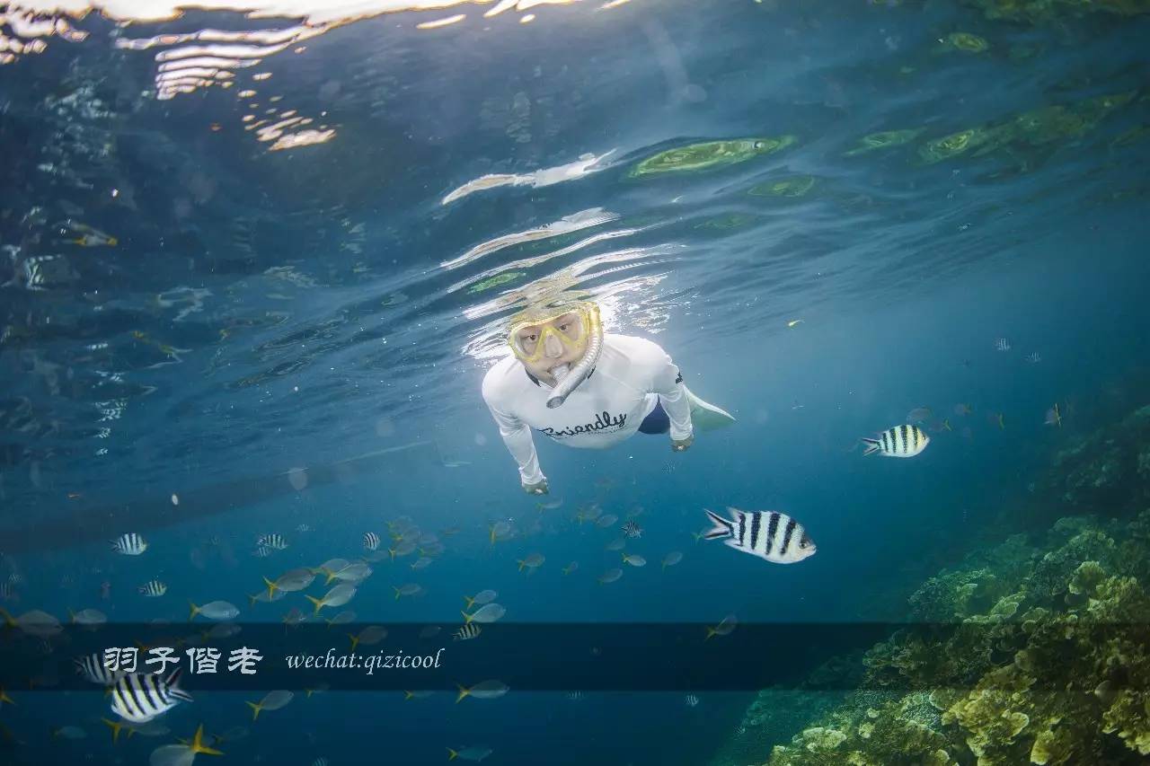 帕劳旅行真实感受,三次帕劳是一种什么体验