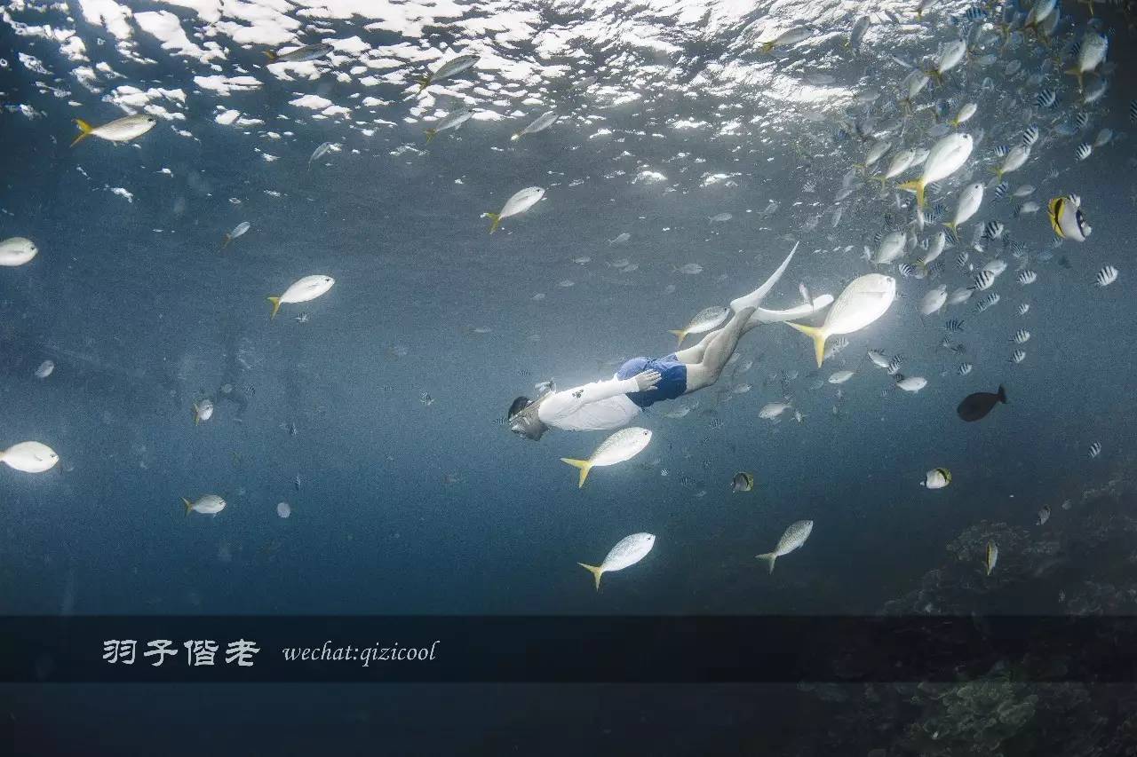 帕劳的旅游时长是多少,帕劳旅游找哪个旅行社