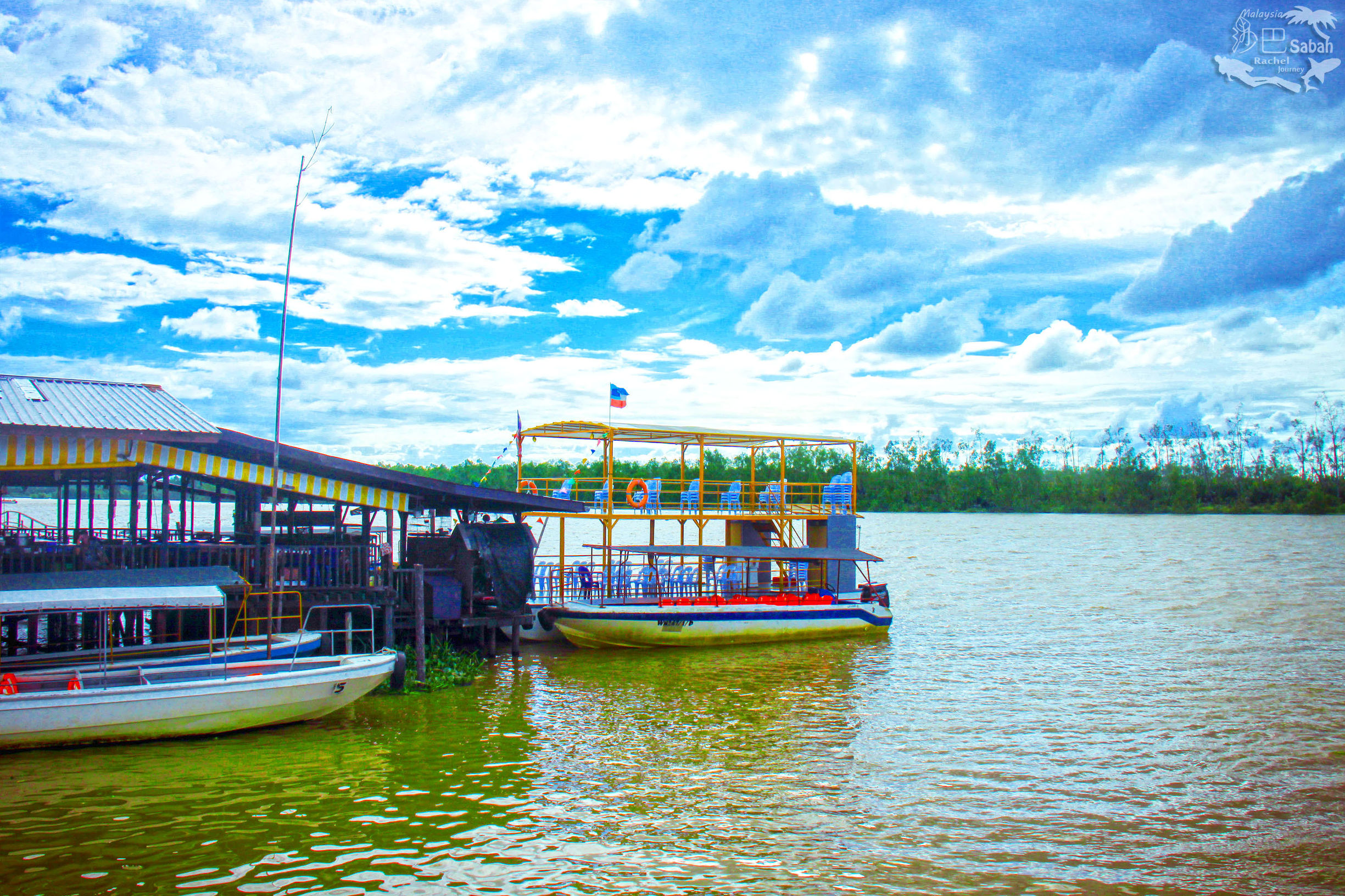 热带雨林是毒还是美威士顿红树林里有怎样的奥秘