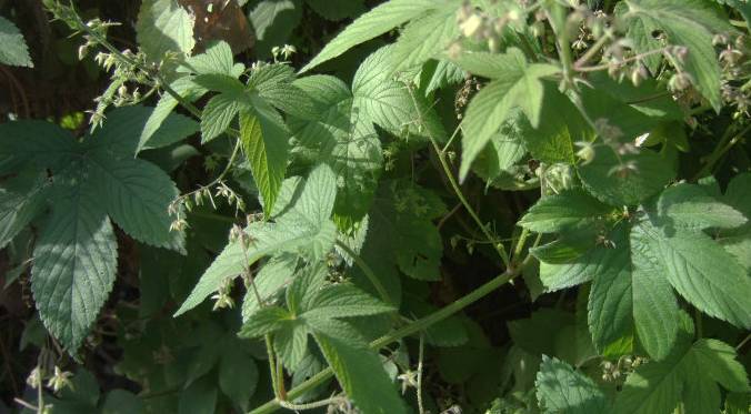 宝宝感冒打喷嚏流鼻涕该怎么办,宝宝感冒频繁打喷嚏流鼻涕怎么办