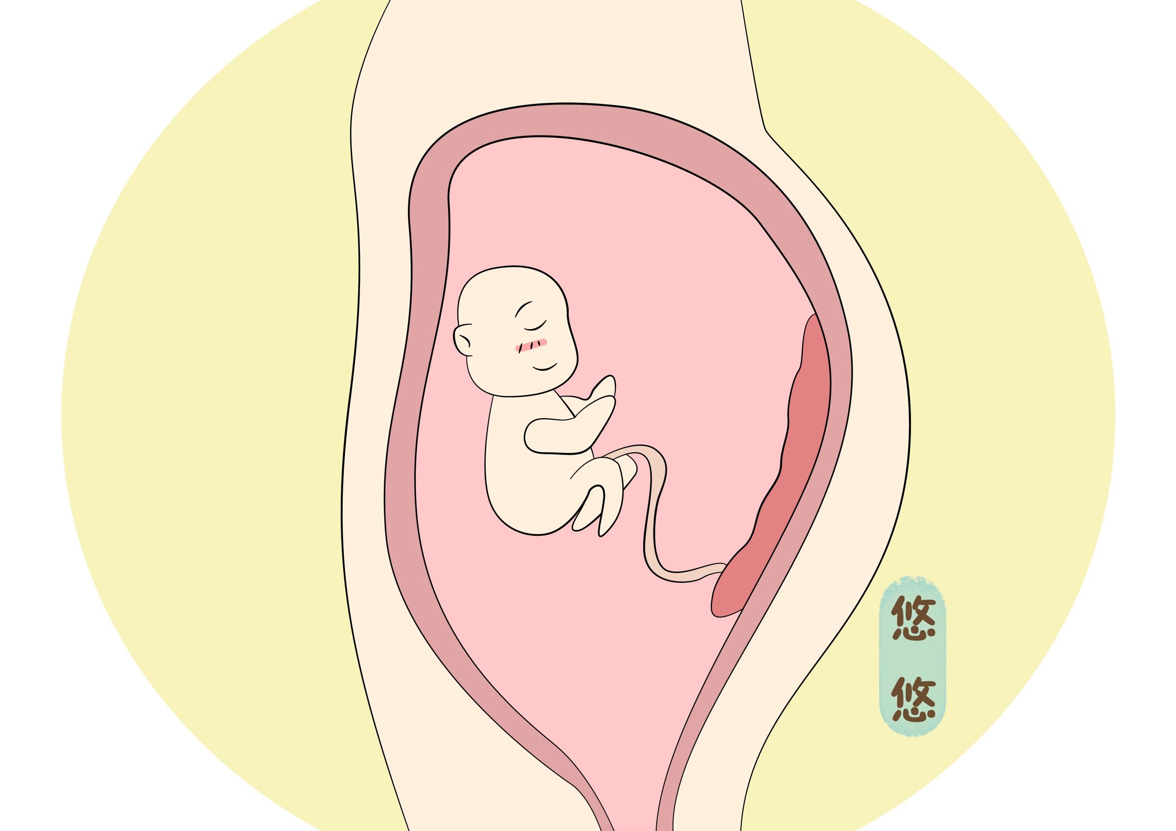 孕妇先见红是生儿子吗,孕妇先见红和先破水有区别吗