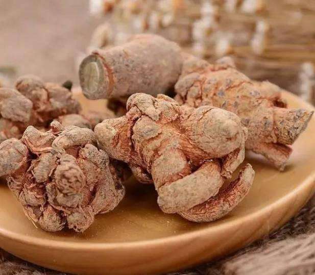 三七景天养护知识,三七虽好但这些禁忌一定要知道