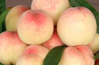 不是天生黑的被晒黑的怎么变白,如果不是天生黑是晒黑的该怎么办