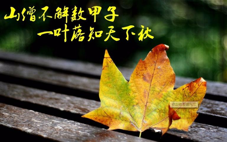 缠论108课与缠论实战详解的区别,缠论解析今日大盘