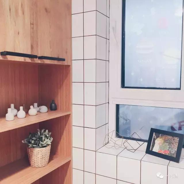 推开门我误以为自己闯入了海洋精灵的家