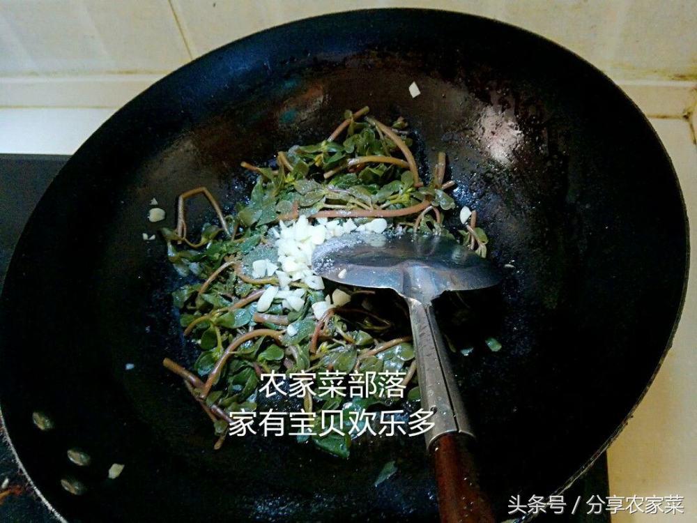 凉拌马齿苋饼,凉拌马齿苋的做法
