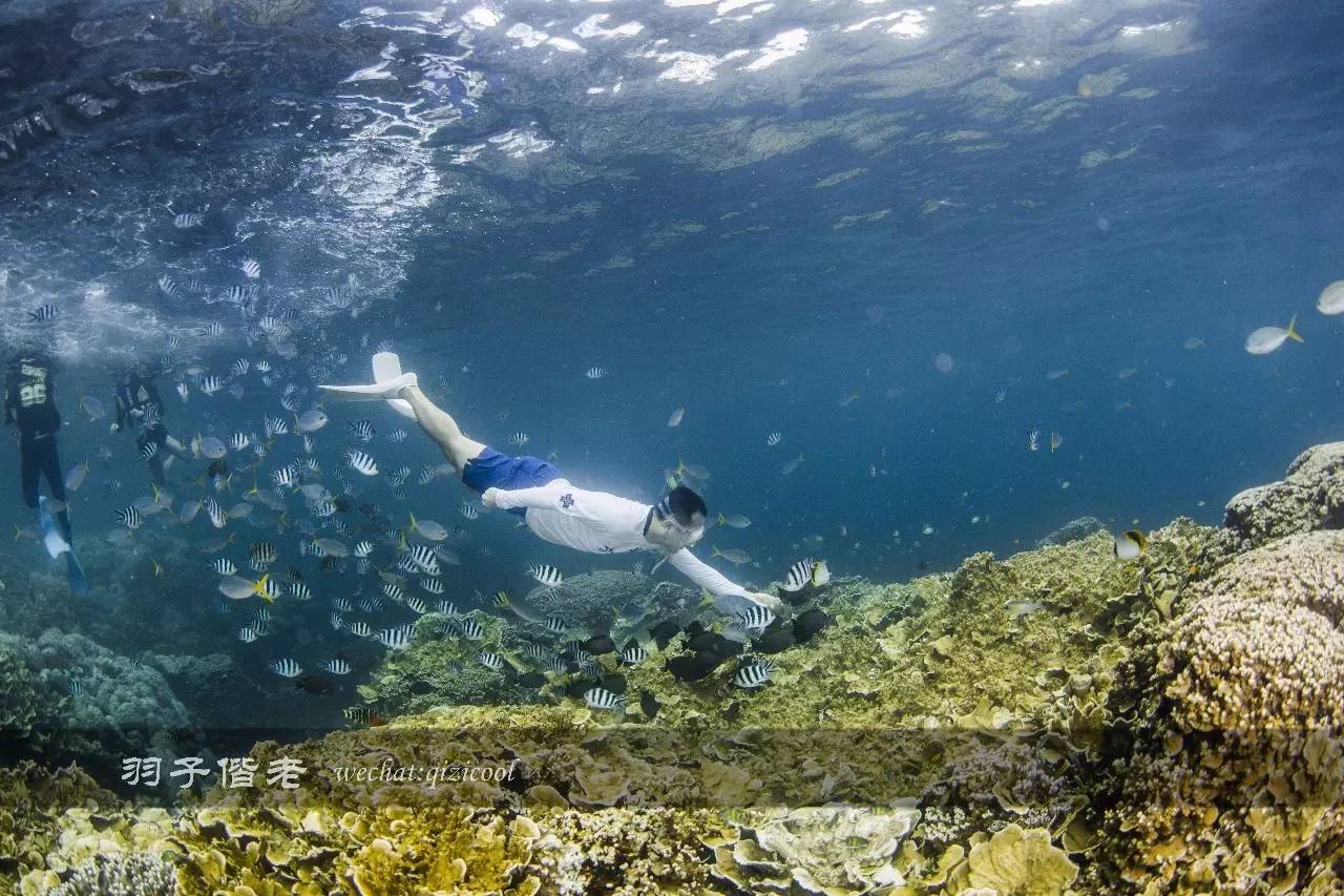 帕劳旅行真实感受,三次帕劳是一种什么体验