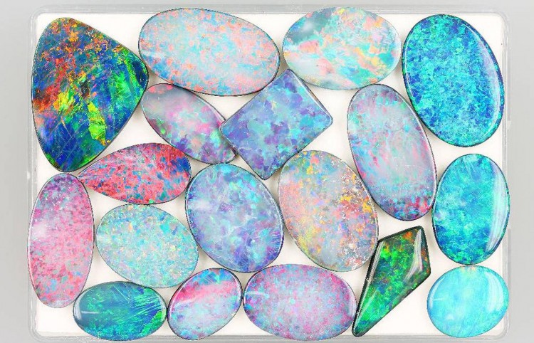 欧泊变色龙,变色龙欧泊