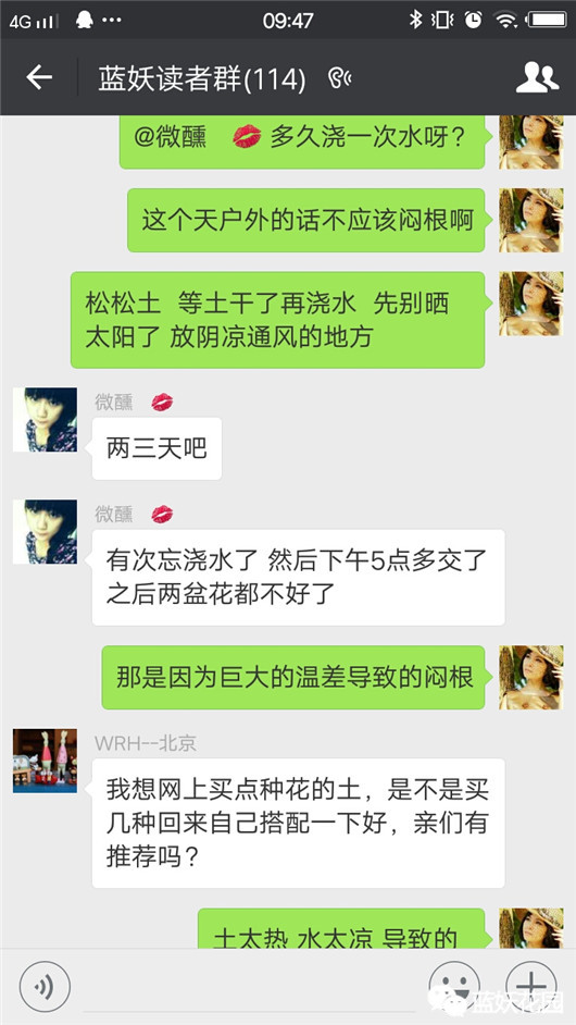 养花必须知道的常识,花一般是怎么养死的