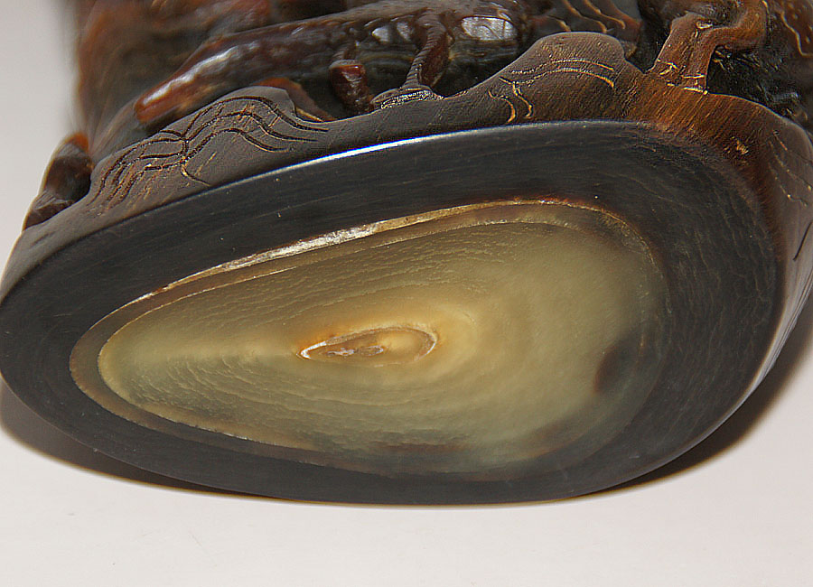 为了得到它，外国人残忍的掠杀，真正原因竟然是因为这个！