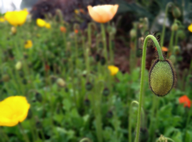 360奇酷手机尊享版测评,360奇酷手机旗舰的参数