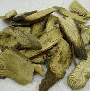 跟我学中医知识,青风藤中药功效速记口诀