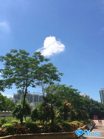 Stusz独家：深圳教育之根，南头中学