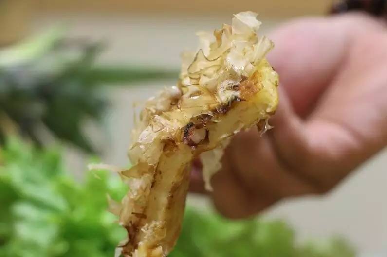 一碗不正经的肥牛饭,下班去哪吃