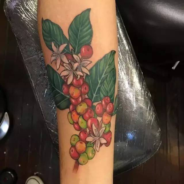 简单分析星巴克和costa之间的差异,costa咖啡门店为啥比星巴克少