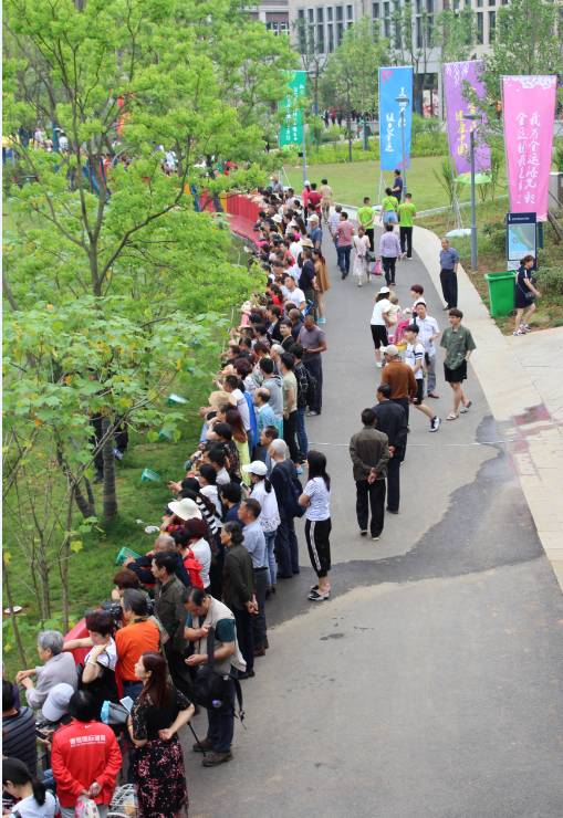 盘点国内龙舟比赛震撼场面一瞬间,中德龙舟赛