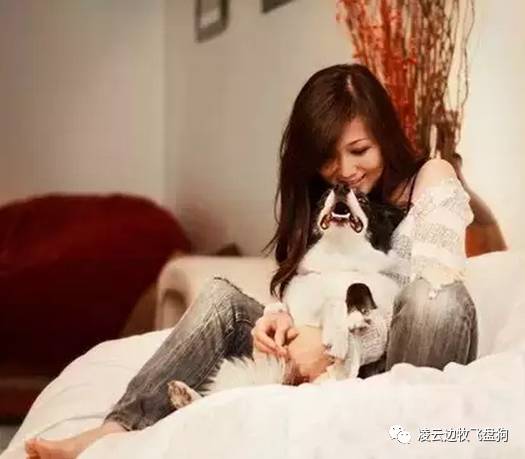 养猫有利于身心健康的研究报告,孕妇能养猫吗孕妇养猫有什么好处