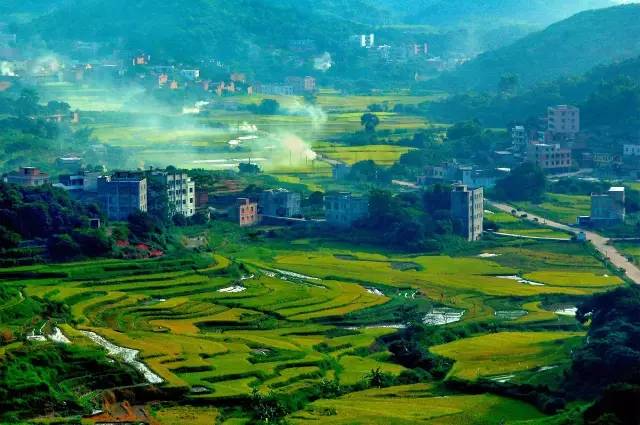 广西灵山县今年经济发展速度,灵山县经济建设发展