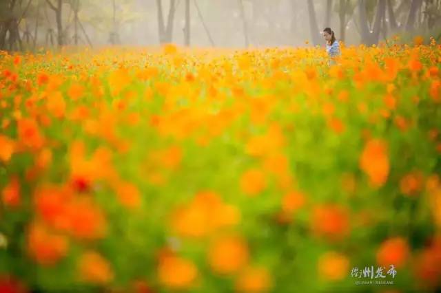 浙江衢州是一个怎么样的城市,浙江人眼中的衢州