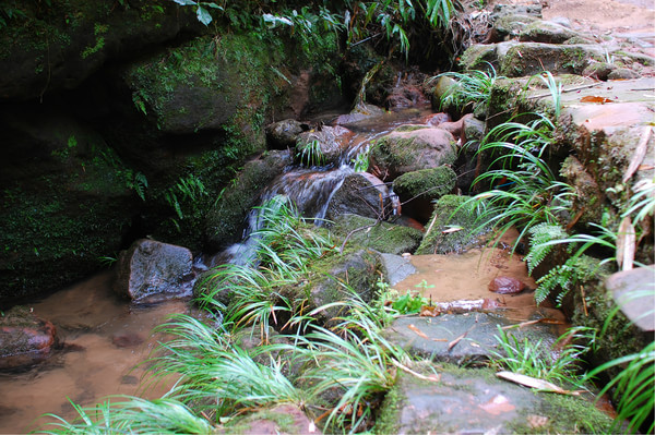 四川竹海旅游推荐,蜀南竹海清凉一夏