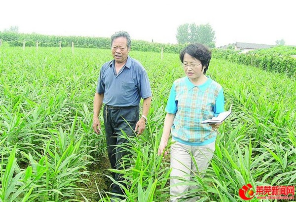 如何去农药残留,如何去掉农药残留