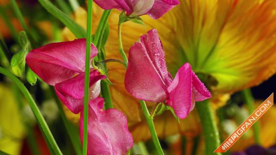 65寸智能电视测评排行,创维65电视评测