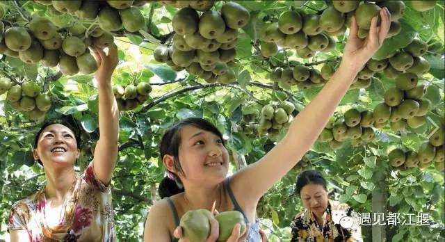 都江堰美景快乐之旅,都江堰特色旅游线路推荐